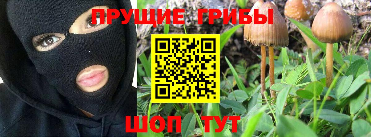 Галлюциногенные грибы Magic Shrooms Карачаевск