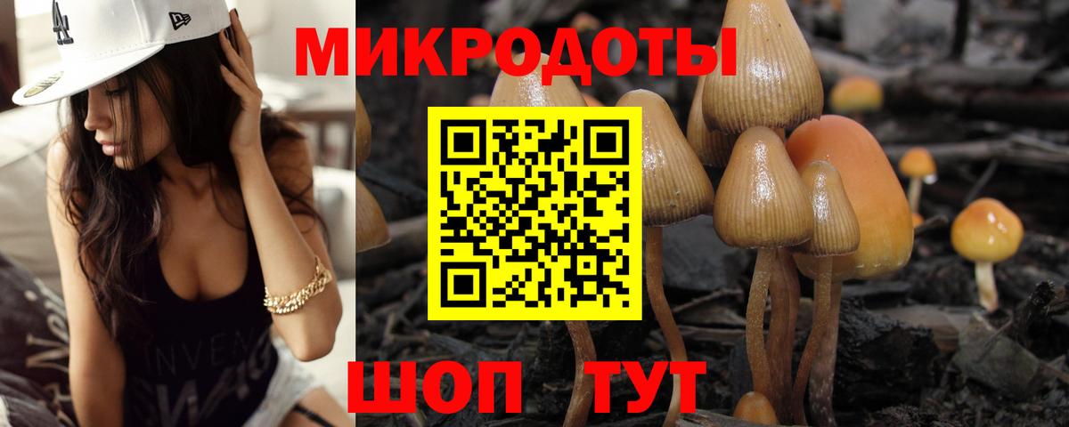 купить наркоту  Галлюциногенные грибы мицелий  Галлюциногенные грибы мицелий  Вход с VPN  Карачаевск 