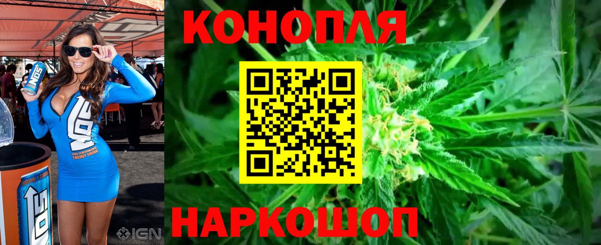 Конопля SATIVA & INDICA Карачаевск